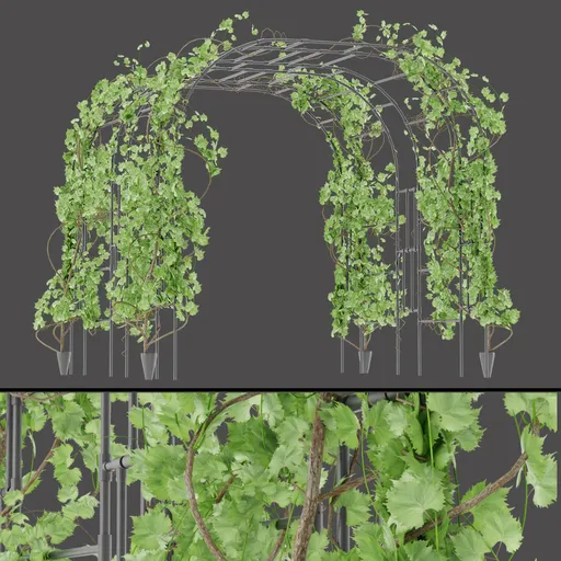 Potted Foliage Arch