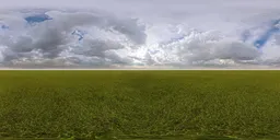 Green grass cloudy blue sky pure sky