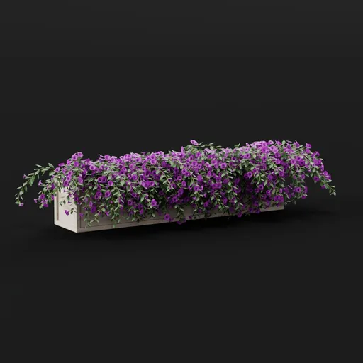 Flower Box