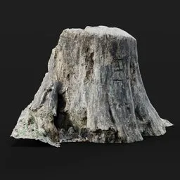 Tree Trunk (Photoscanned)