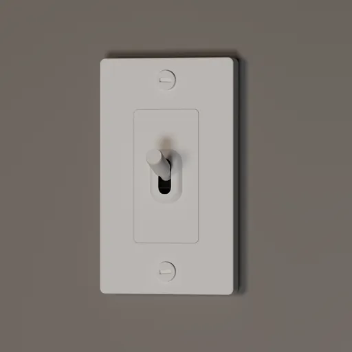 Toggle Switch