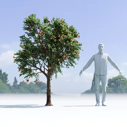 Apple Tree
