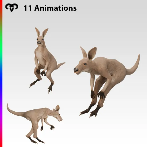 Kangaroo Baby