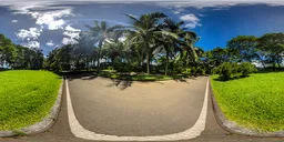 By the asphalt road in the morning 16k