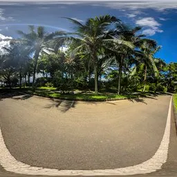 By the asphalt road in the morning 16k