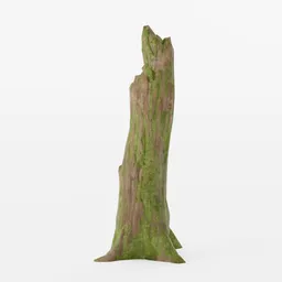 Old Stump Optimized Photoscan