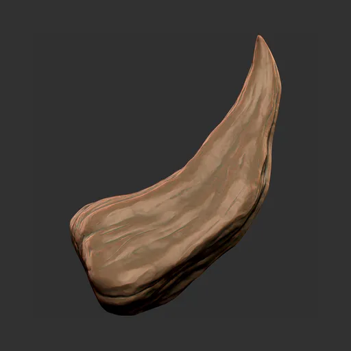 Curved Bull Horn
