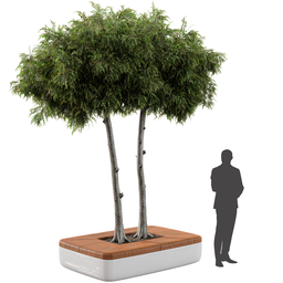 Detailed 3D model of a bench integrated with a tree, optimized for Blender, perfect for urban design visuals.