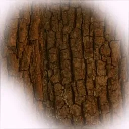 Detailed bark texture created by Bark 3D Brush for sculpting realistic tree surfaces in Blender 3D.