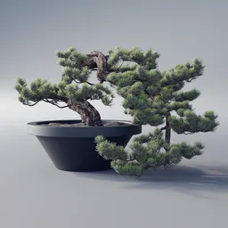 Detailed 3D bonsai model with textured needles using Blender's Particle System, perfect for indoor nature scenes.