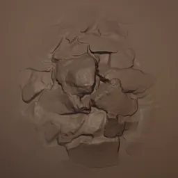 Rock Rugged Brush s2925 16