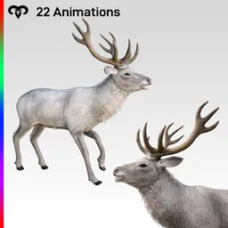 Deer Animated White