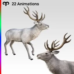 Deer Animated White