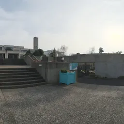 Irish Institute