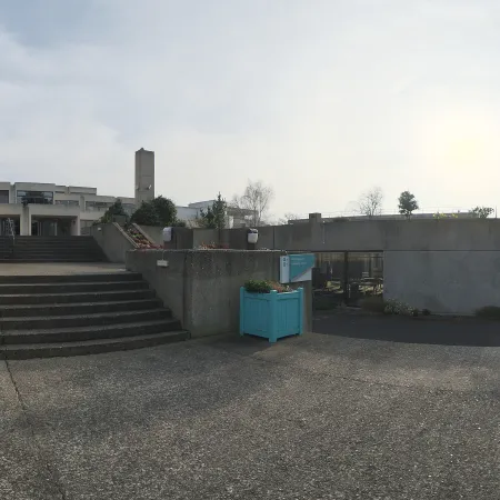 Irish Institute
