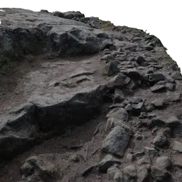 Rocky Hiking Trail in Forest