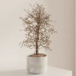 Dry Branch Tree Planter