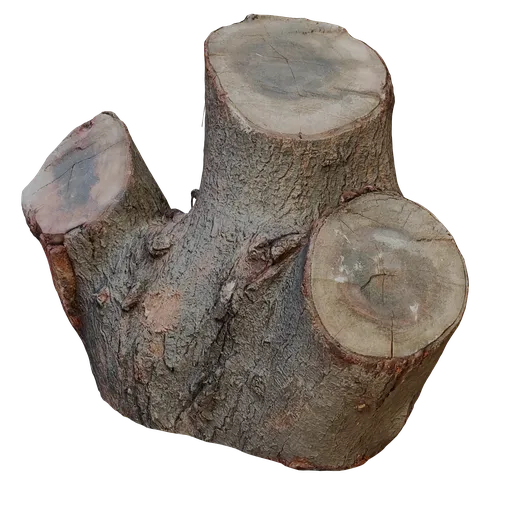 Realistic 3D model of a cut tree stump with detailed texture and quad topology for Blender rendering.