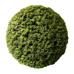 High-resolution Hedge Yew 2K PBR texture suitable for Blender and other 3D applications.