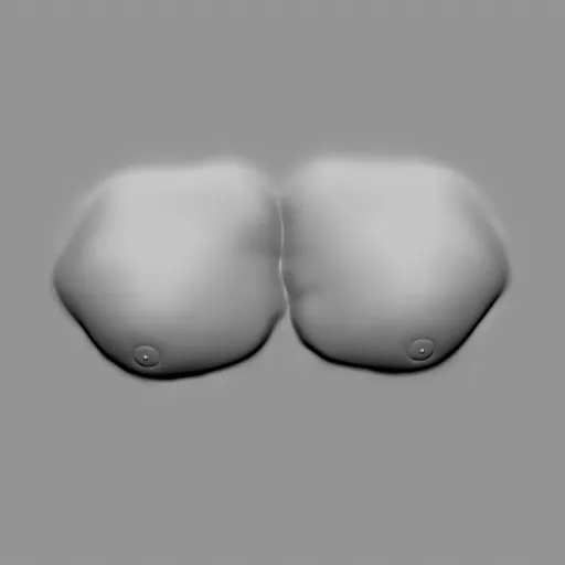 ER_Muscle brush 06