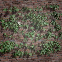 Realistic 3D ivy model with high-quality textures climbing on a brick wall, suitable for mystical and post-apocalyptic Blender scenes.