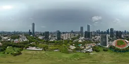 Highsky Building Glass Bluesky Tree