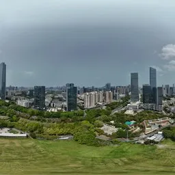 Highsky Building Glass Bluesky Tree