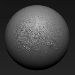 NS Tree surface cross section