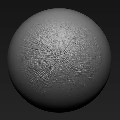 NS Tree surface cross section
