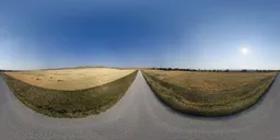 Panoramic HDR image of a scenic dirt road amidst golden farm fields under a blue sky for realistic lighting in 3D scenes.
