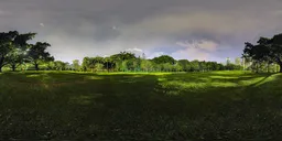 Green grass at night