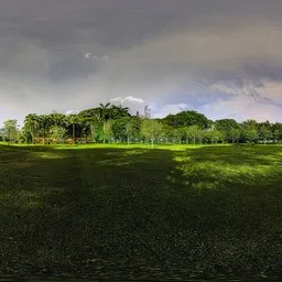 Green grass at night