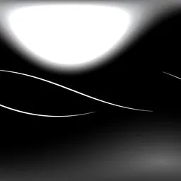 Studio Black and White