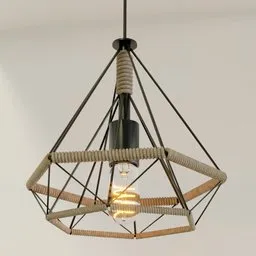 Industrial Vintage Ceiling Lamp