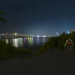 Beach at night
