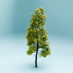 Detailed 3D autumnal tree model with lush foliage, ready for Blender 3D environment compositions.