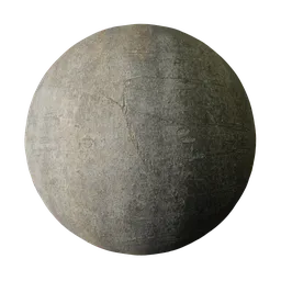 Smooth Gray Beech Bark