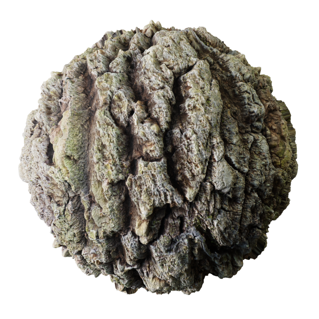 Tree Bark FREE 3D Wood Materials BlenderKit