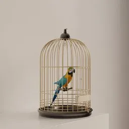Golden Cage Macaw