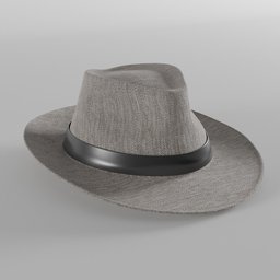 Elegant Hat