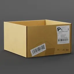 Flat Cardboard Box Open