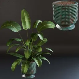 3D model of a Strelitzia reginae in a textured dirt pot, designed for realistic interior visualization in Blender.