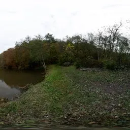 Autumn Pond in the Forest