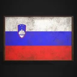 Slovenia Flag Picture Frame
