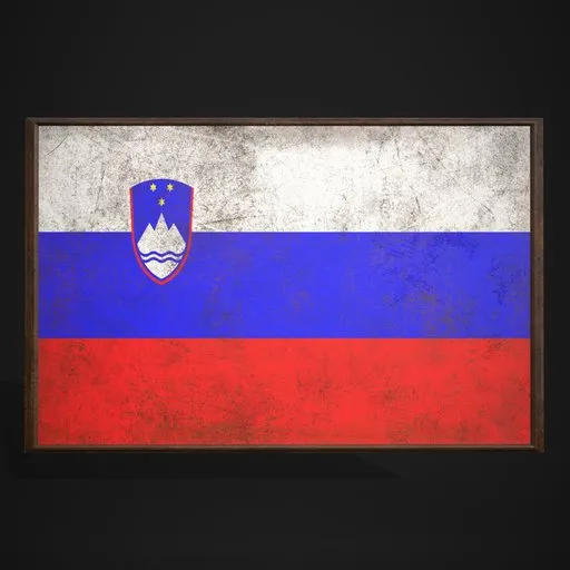 Slovenia Flag Picture Frame