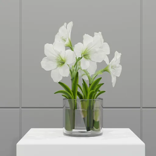 White Amaryllis Vase
