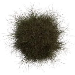 Realistic 3D grass tuft model suitable for Blender rendering, created by Rico Cilliers.