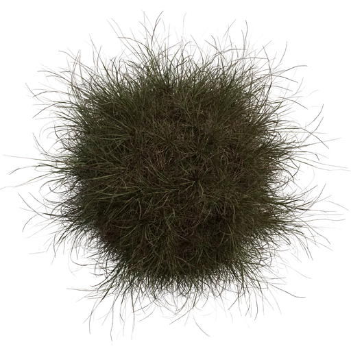 Grass Medium 02