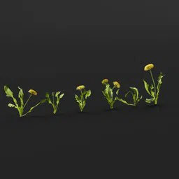 Realistic digital dandelion set for 3D scenes, optimized for Blender with high poly detail, suitable for particle systems and geometry nodes.