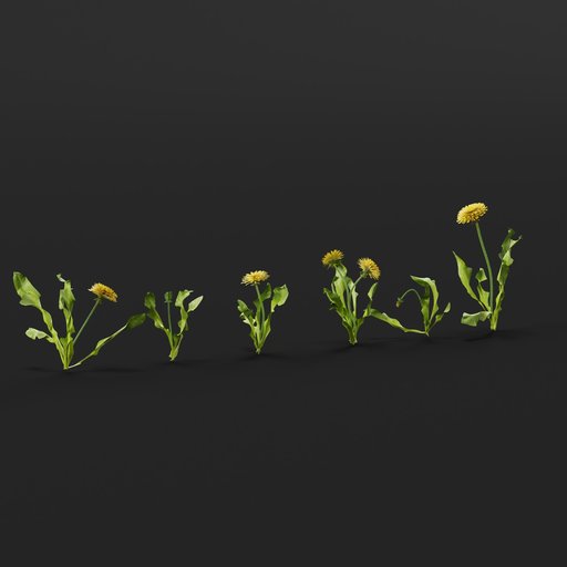 Dandelion Set